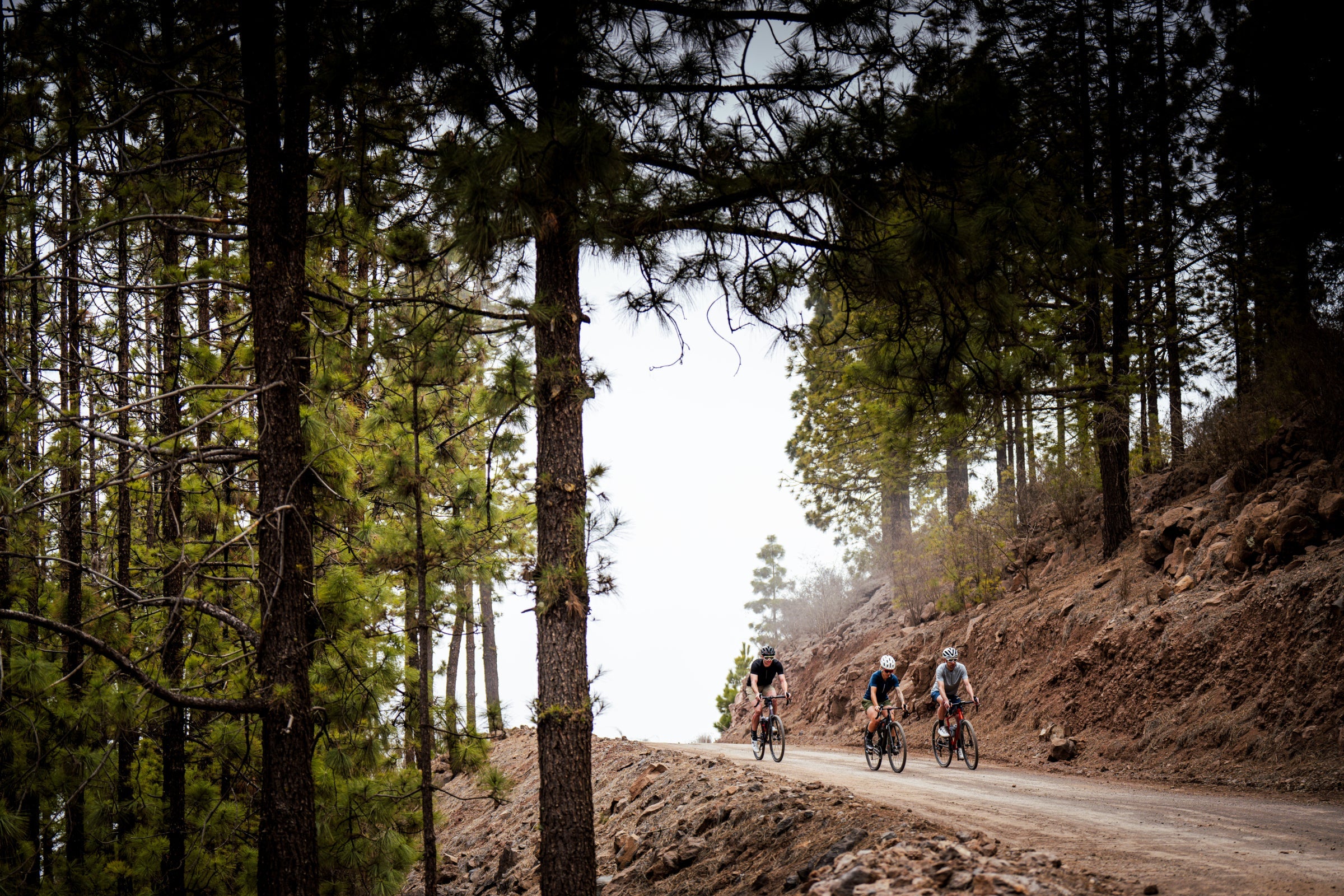 Cyclists riding on a dirt trail through a forested mountain area