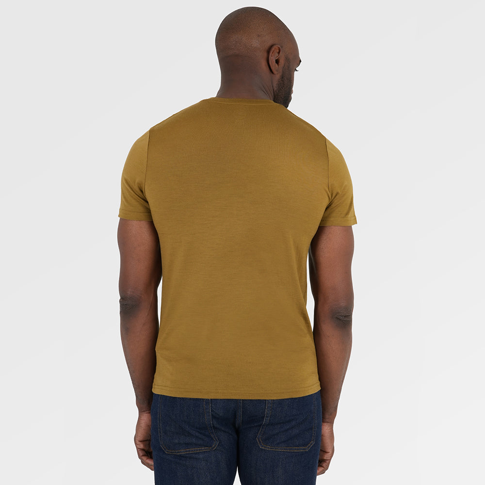 Mens Merino 150 Stamp Summit Tee (Dull Gold/Petrol) | Model: Michael