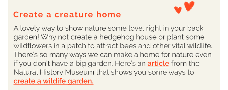 Text about creating a wildlife friendly garden to support nature and animals.
