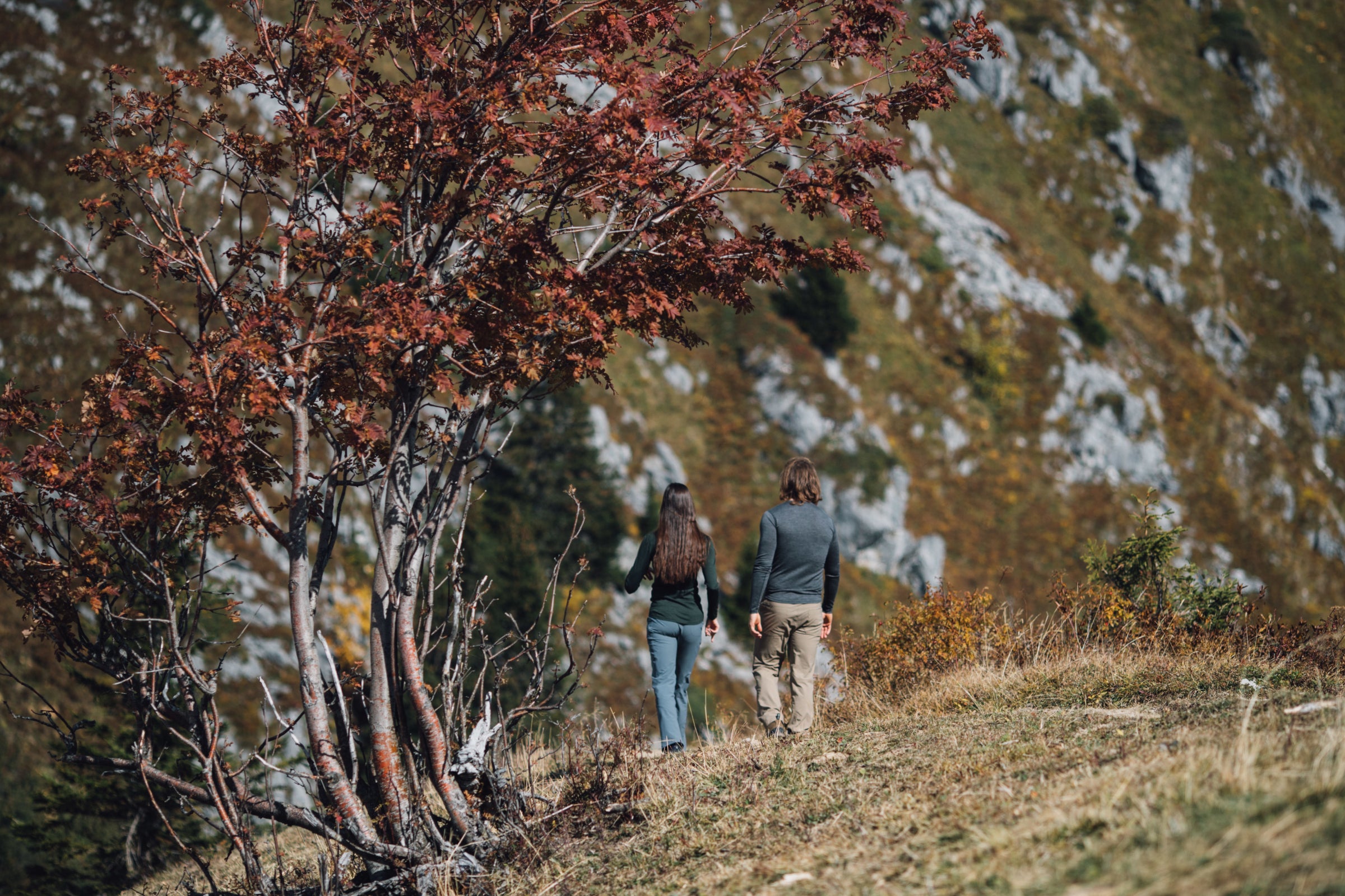 Zwei Wanderer gehen bergauf an einem Baum mit Herbstlaub vorbei